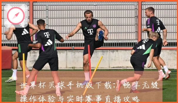 世界杯买球手机版下载：畅享无缝操作体验与实时赛事直播攻略