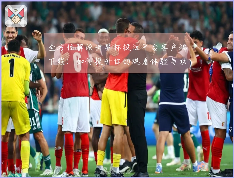 全方位解读世界杯投注平台客户端下载：如何提升你的观看体验与功能使用指南