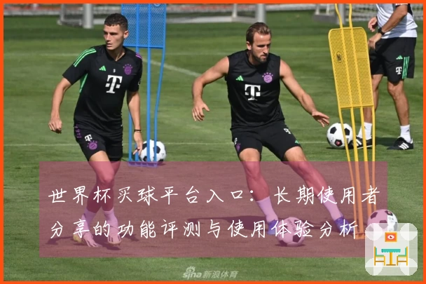 世界杯买球平台入口：长期使用者分享的功能评测与使用体验分析